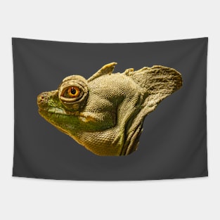 Plumed Basilisk Lizard Tapestry