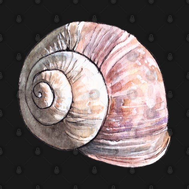 Snail Shell Watercolor by AquarellChill