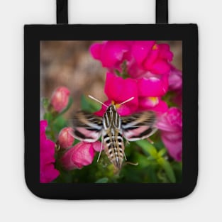 Hummingbird Moth in Motion Tote