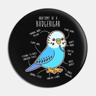 Blue Budgie Anatomy Pin