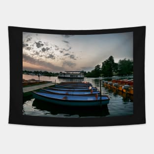 Sunset at Windsor and boat trip Tapestry