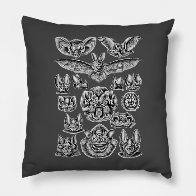 Ernst Haeckel Bats Pillow by Scientistudio