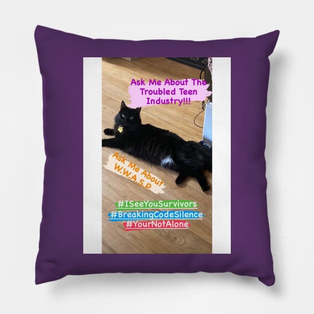 Ask Me About TTI Pillow by Str8 Outta B.S. Podcast