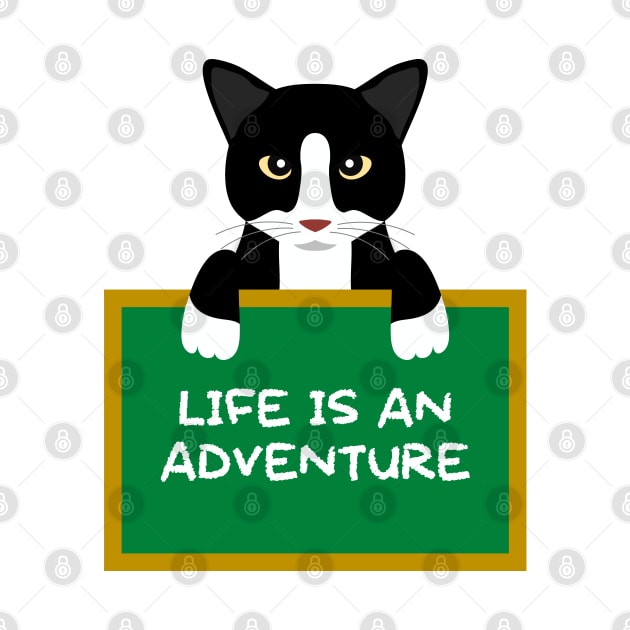 Advice Cat - Life Is An Adventure by inotyler