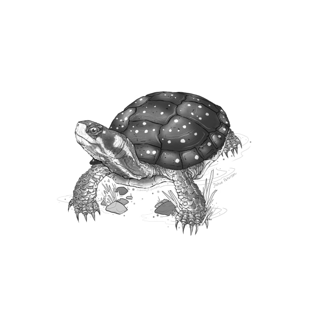 Eastern Spotted Turtle Art by CMTR Store