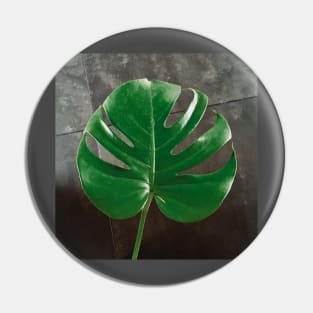 Monstera leaf Pin