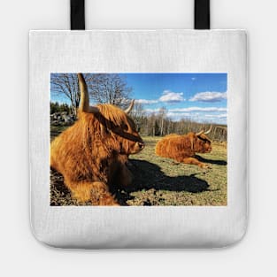 Scottish Highland Cattle Cow 2379 Tote