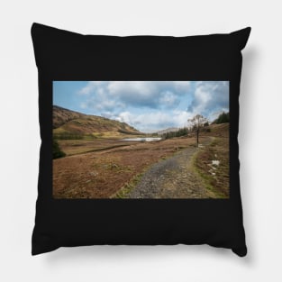 Blea Tarn Pillow