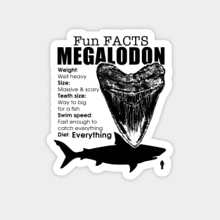 Fun Facts Megalodon Magnet