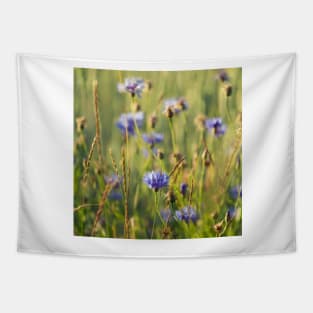 Cornflower Tapestry