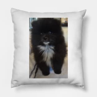 Coquette 11 Pillow