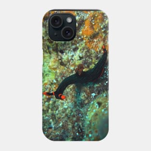 Nembrotha kubaryana nudibranch Phone Case