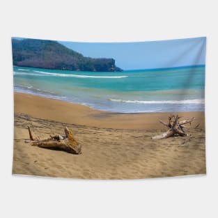 Two dead woods at a sand beach Tapestry