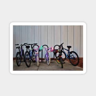 Family Bicycles Magnet