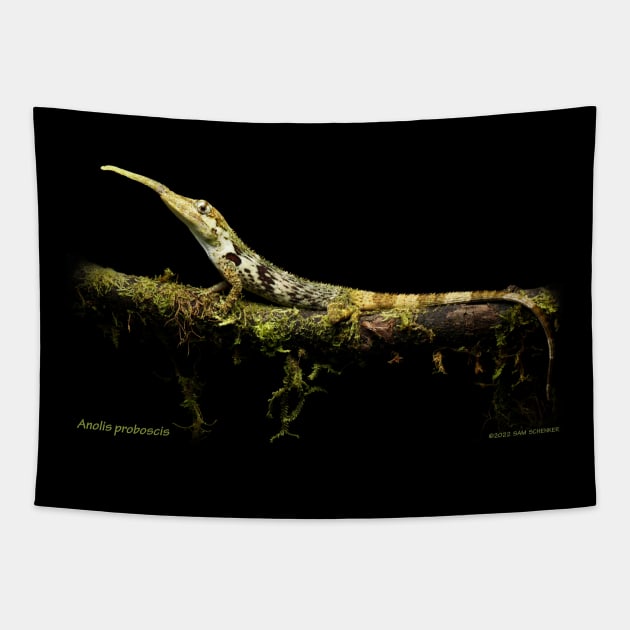 Pinocchio Anole Tapestry by Stone Forest Waters