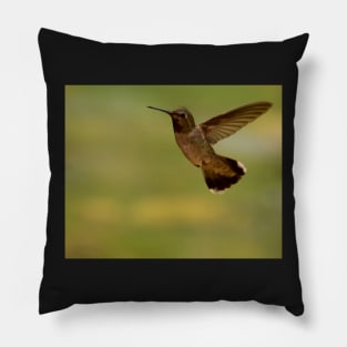 Hummingbird Pillow