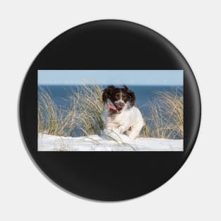 English Springer Spaniel Pin