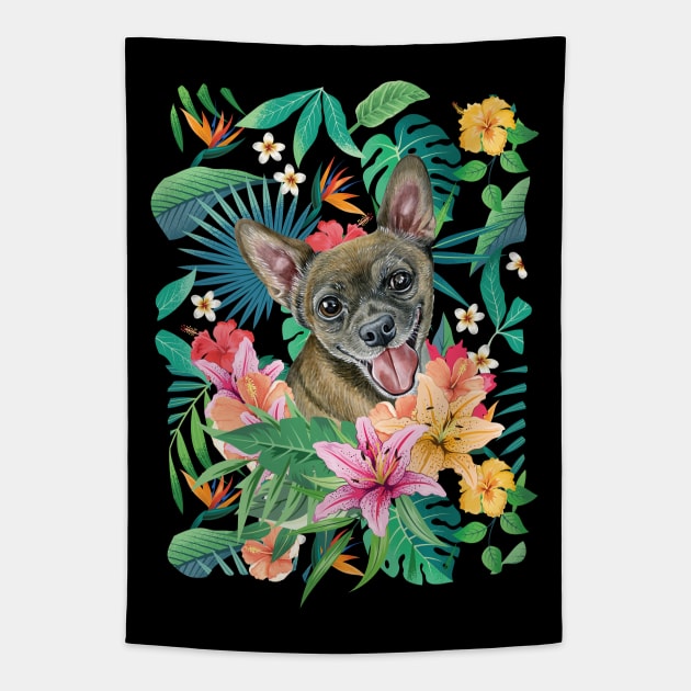 Black sable fawn chihuahua discount