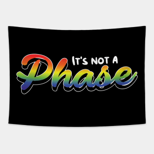 Its not a Phase LGBT Pride equality Rainbow Lesbian Tapestry