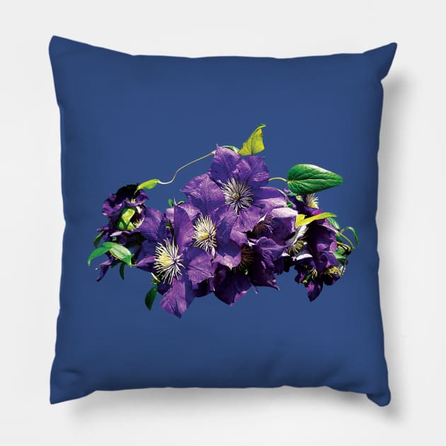 Clematis - Purple Clematis with Vine Pillow by SusanSavad