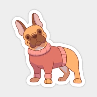 Frenchie in a red sweater Magnet