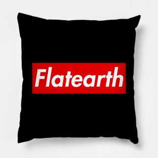 Flatearth Pillow