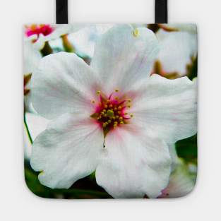 Photography - one sakura flower Tote