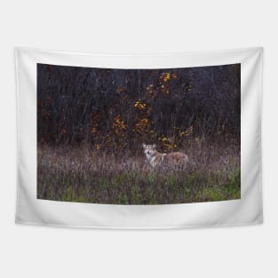 Coyote Tapestry