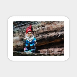 Woodland Gnome 1 Magnet