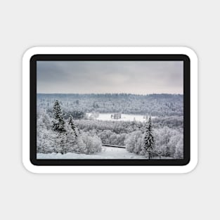 Snow covered forest Magnet