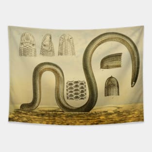 The Blackish Australian Worm Snake Tapestry