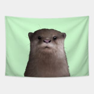 Asian Small Clawed Otter 3 Tapestry