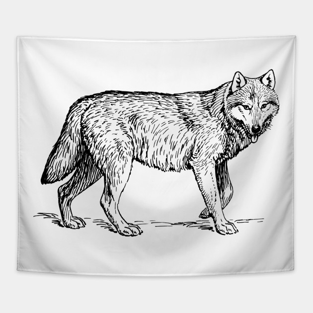 Timber Wolf