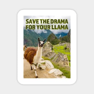 Save the Drama for your Llama at Machu Picchu Magnet