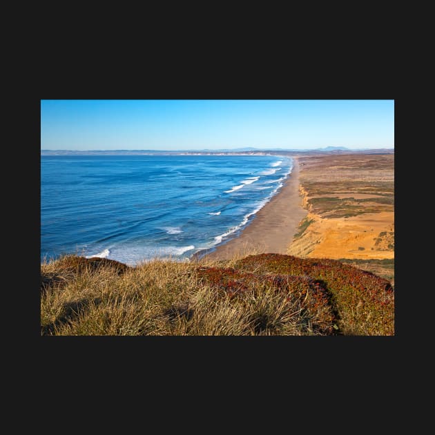 Point Reyes Coastal Scenery by somadjinn