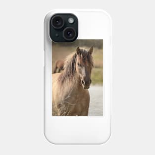 Portrait of a konik horse Phone Case