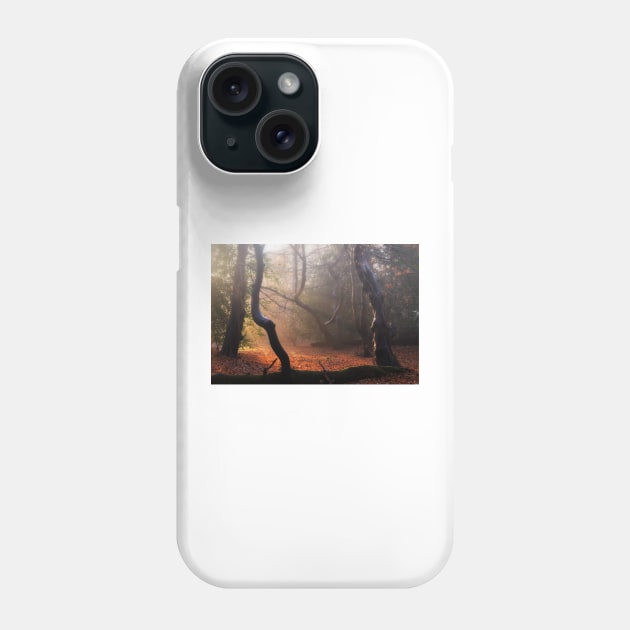 Autumn in Epping Forest Phone Case by Nigdaw