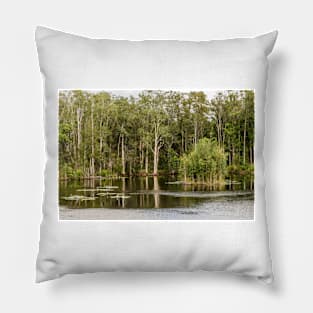 Urunga Wetlands 02 Pillow