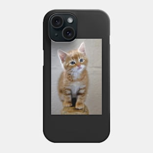 I iz all grown up mamma Phone Case