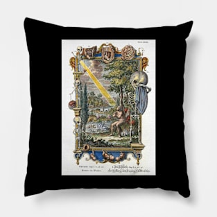 Man from the Ground - Physica Sacra Pillow