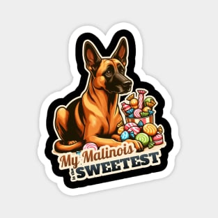 Belgian Malinois confectioner Magnet