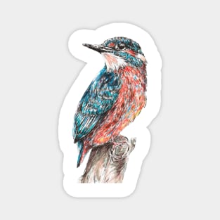 Kingfisher Magnet