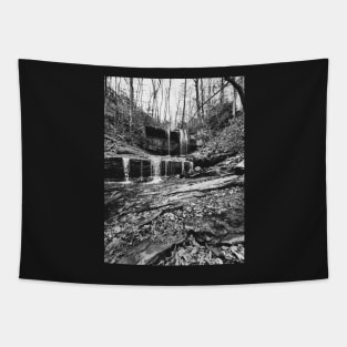 Grassy Creek Falls black and white Tapestry