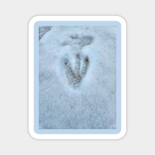 ONE PENGUIN FOOT PRINT IN THE SNOW Magnet