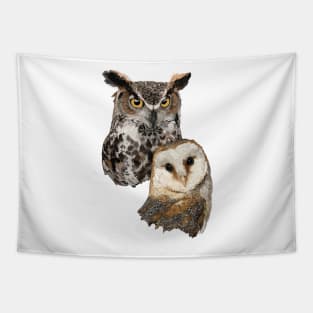Owl and Barn Owl Tapestry