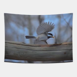 Chickadee illustration Tapestry