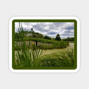 Bulrushes Magnet