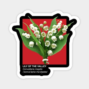 Lily Of The Valley - Plants Botanical Info Magnet