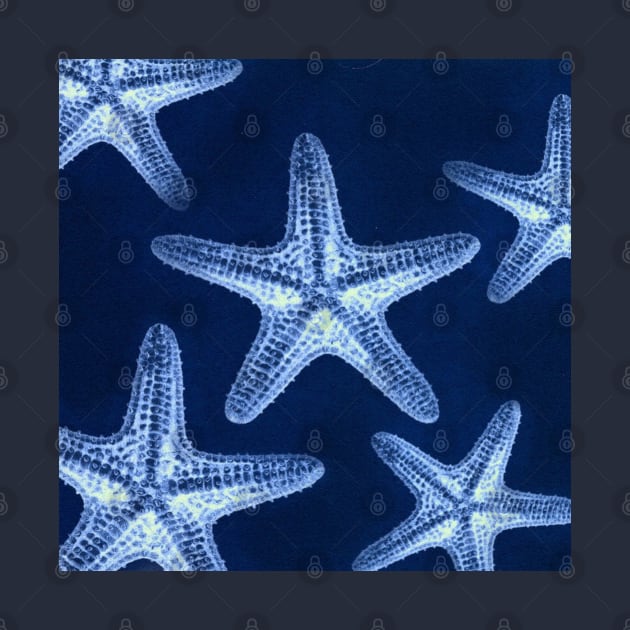 rustic coastal chic nautical navy blue beach starfish by Tina