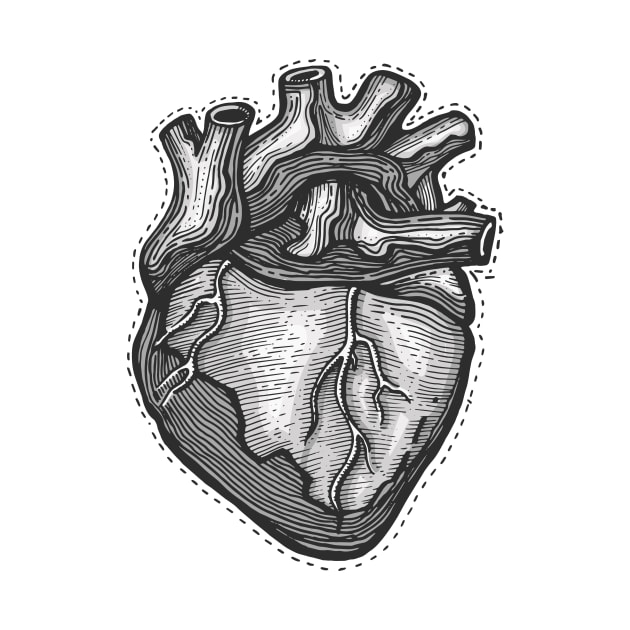 Human heart illustration by bernardojbp